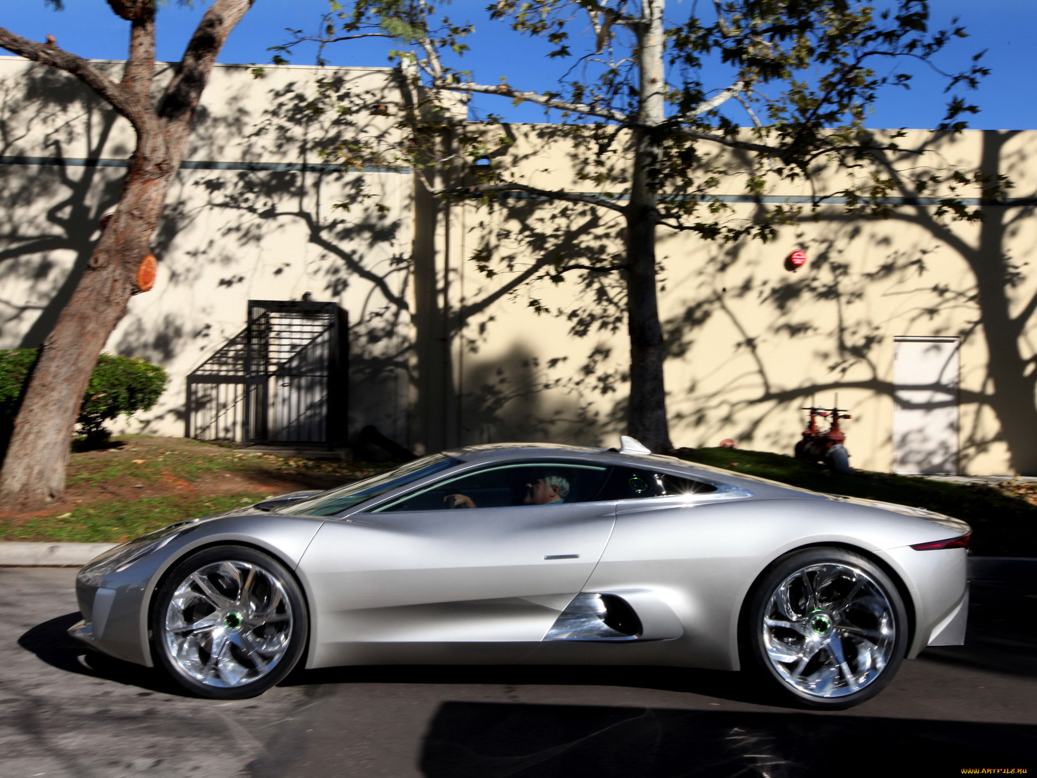, jaguar